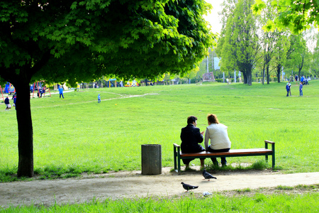 women have a rest on the bench in city park in the springのeditorial素材
