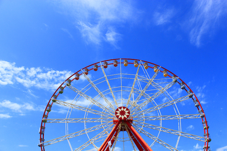 ferris wheel in the park with treesの写真素材