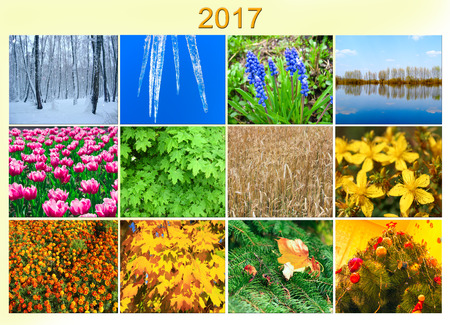 blank with twelve colored images of nature for calendar of next year 2017