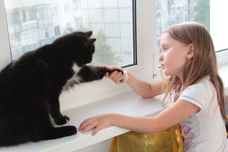 little girl associates with black cat on the window-sill of balconyの写真素材