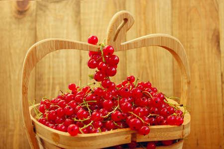 clusters of fresh ripe berries of red currant on the wooden vaseの写真素材