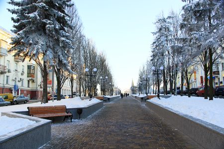 beautiful winter park with trees benches and pathのeditorial素材