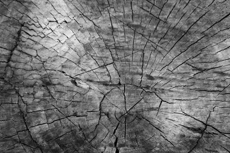 Wooden vintage texture. Old textured background. Tree cut dark backgriundの写真素材