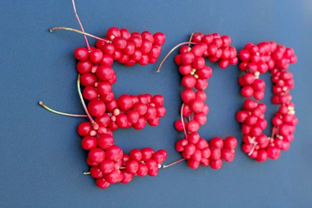 Schisandra chinensis. Word Eco from red ripe berries of schisandra on dark blue background. Healthful schisandra. Protect the environment. Gift of natureの写真素材