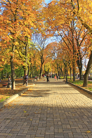 City park with people walking on street alley with benches in autumn. Season of autumn with yellow foliage on trees. People walk on autumnal city park. People rest in parkのeditorial素材