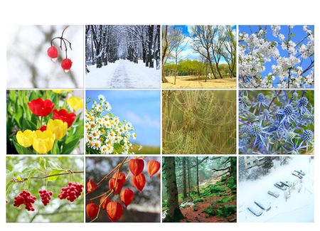 Different twelve colored images of nature for calendar. Ready photo for calendar. Pictures for...
