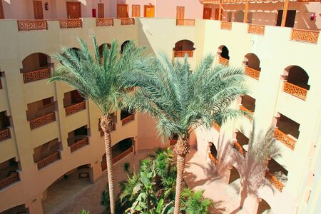 Tropical resort in Egypt. Palm trees and tropical vegetation growing in courtyard of resort. Rest in Hurghada hotel Egyptian resortのeditorial素材
