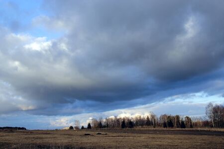 Landscape with thundercloud over field and forest. Streams of rain in distance. Rain watered field....