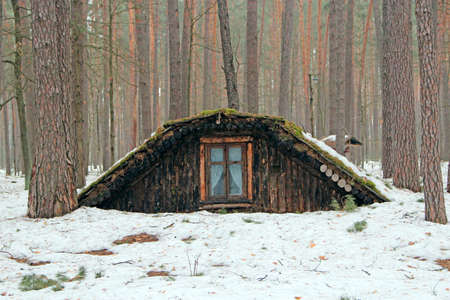 Partisan dugout in winter forest. Earth-house built by Soviet partisans in Ukrainian forest during Secont World War. War museum in forest. Dwelling of Soviet partisans in winter woodのeditorial素材
