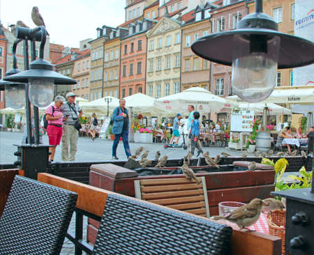 Elderly tourists in center of Warsaw. Sparrows host in street cafe. Sparrows jump on tables and chairs in city cafe of Warsaw. Gray-haired people travel. Senior couple travel around Polandのeditorial素材