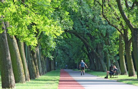 Beautiful city park with treadmill and man running on roller skates. Old man running on roller skates in city park. Urban nature. Healthful lifestyleの写真素材