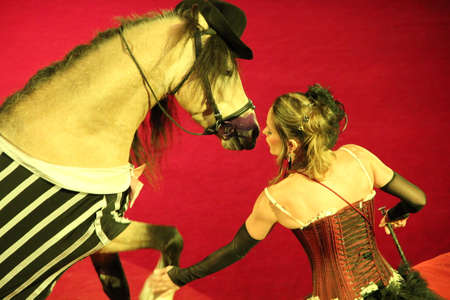 ponies run on arena performing in circus. Beautiful pony. Animal trainer performing together with little horses in circusのeditorial素材
