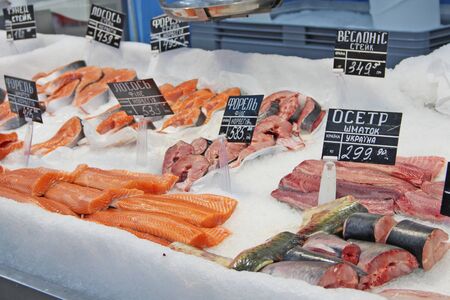 Fresh frozen fish in ice is sold in store. Pieces of salmon paddlefish. Fillet of trout, sturgeon, salmon frozen in the refrigerator. Salmon and sturgeon with ice cubes in the store. Natural meatの写真素材