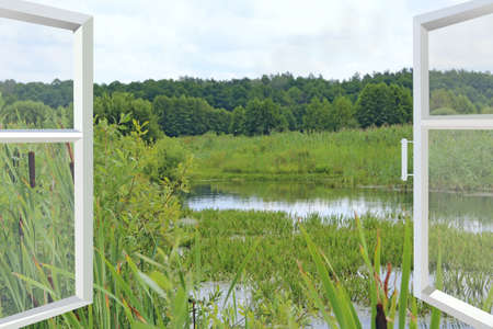 Room with wide window overlooking landscape with lake surrounded with cane. View from room window to...