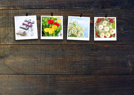 Signs of the season. Photos of four seasons attached to black wooden surface. Four seasons on dark background. Photos of four seasons on dark wooden wall. Four photos taken at different times of year.の写真素材