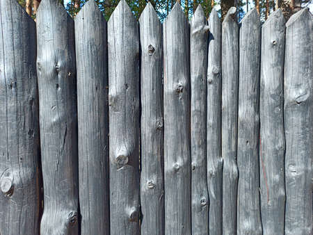 historical protecting fence from wooden logs. Texture from wooden logs. Thick logs are in rowの写真素材