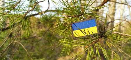 Ukrainian flag in pine needles. struggle of Ukraine against the Russia. state symbol of Ukraine on...