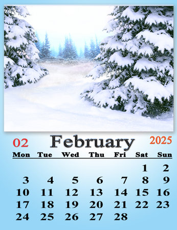 calendar for February 2025 with image of fabulous forest. February fabulous calendar for 2025. Daily organizer. Business organizer. February 2025 calendar with image of snowy treesの写真素材