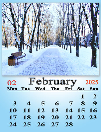 calendar for February 2025 with photo of winter park path and trees in snow. Business calendar. Monthly planner. February calendar for 2025. Daily organizer.の写真素材