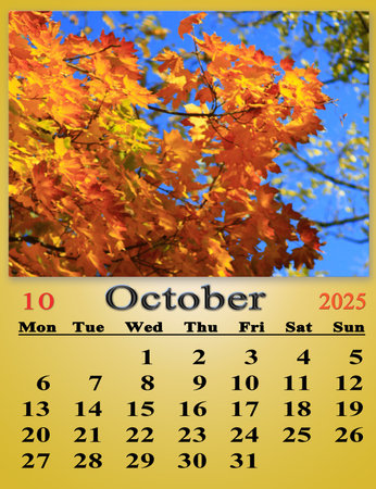 calendar for October 2025 with the image of yellow maple leaves. Business calendar. Monthly planner. October calendar for 2025の写真素材