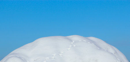 Snow covered mountain. Winter landscape. Snowy hill against blue sky. Frosty weatherの写真素材