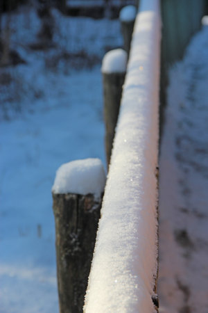 Trees covered with snow. Frosty weather. Winter landscape with beautiful firs. Countryside life in snowy winter. Tall spruces in mountain village. Cold weather in mountain villageの写真素材