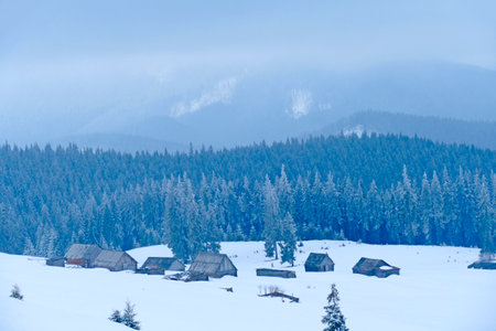 Snowy winter in mountain forest. Wooden houses in snowy mountain forest. Landscape with winter wood. Summer houses in snow-capped Carpathian mountains. Village in mountains in winterの写真素材