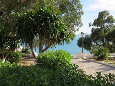 Sidi Bou Said, famouse village with traditional tunisian architecture. White walls, blue shutters and roofsの写真素材