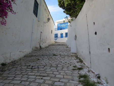Sidi Bou Said, famouse village with traditional tunisian architecture. White walls, blue shutters...