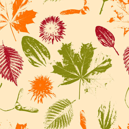 Seamless Floral Patternのイラスト素材
