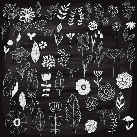 Vector Chalk Drawn Spring Floral Design Elementsのイラスト素材