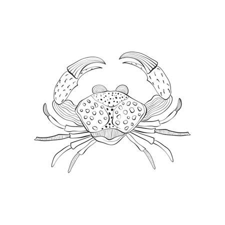Vector  hand drawn Crab. Retro vintage style. Menuのイラスト素材