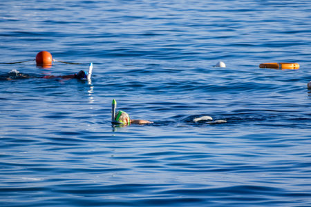 People snorkeling in open sea with floating buoys. Summer leisure activity, swimming and snorkeling...