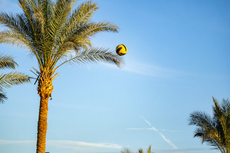 Beach volleyball ball flying in the sky near palm trees at tropical resort. Summer sports concept,...