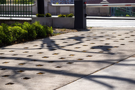 Urban outdoor scene with modern concrete pavement featuring repeating square cutouts and dramatic tree shadows in sunlight. Minimal architectural background with geometric patterns and clean city