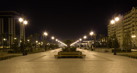 night parkの写真素材