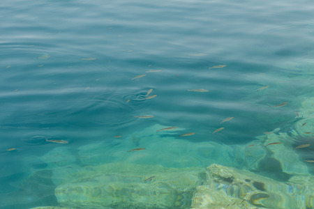 Aegean Coastの写真素材