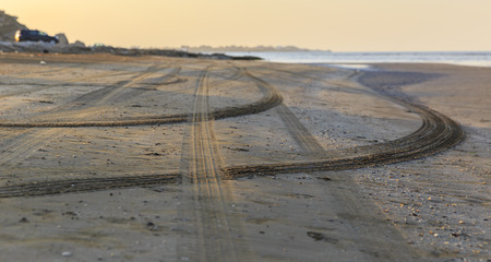 Beach sand with shells and traces of the tread machinesの写真素材