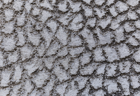 The texture of the decorative wall putty