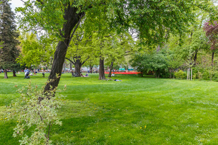 AUSTRIA,VIENNA - APRIL 17,2016:People resting on the lawnのeditorial素材