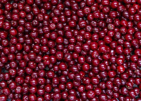Purified and washed cherries in a box