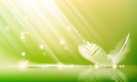 Soft pink background with smooth lines and with a featherのイラスト素材