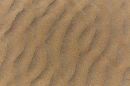 Texture of sand on the beach