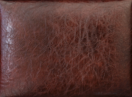Skin texture on the back of the bed