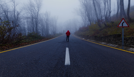 Autumn in the misty forestの写真素材