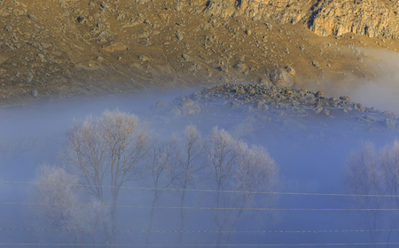 Frost-covered bare trees high in the mountainsの写真素材