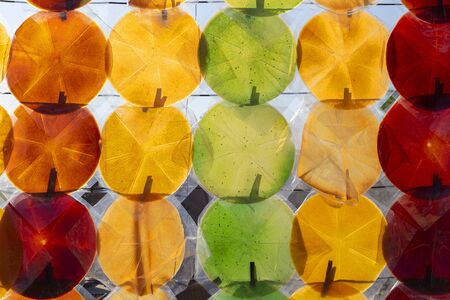 Lavashana in the form of multicolored circlesの写真素材