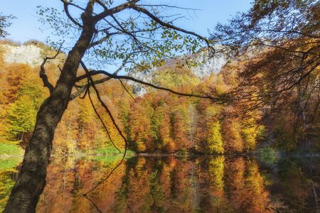 Beautiful lake in the autumn high in the mountainsの写真素材