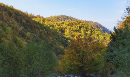 Golden autumn high in the mountainsの写真素材