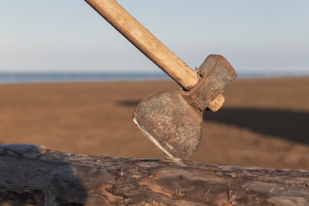 Old rusty ax stuck in a log